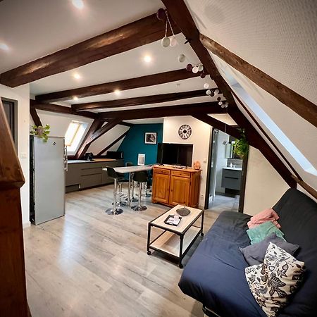 Gite Du Figuier 4 A 6 Personnes Selestat Centre-Alsace Екстер'єр фото